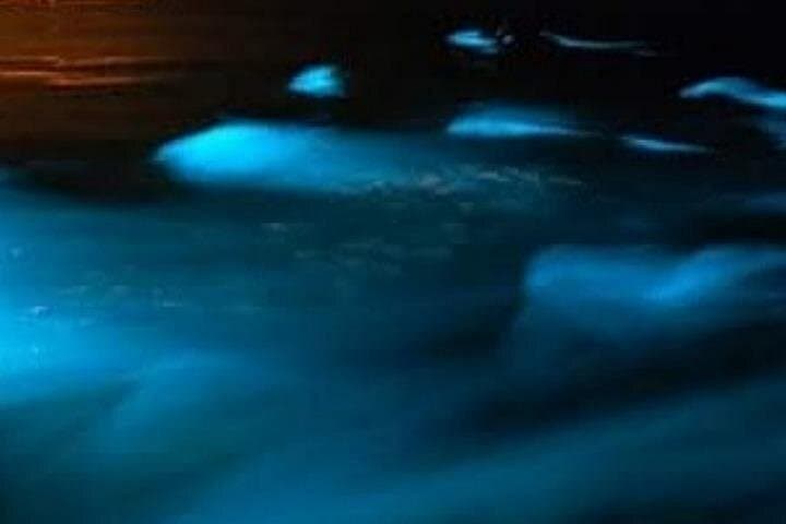 Night Swim at Jamaica's Luminous Lagoon — Private Tour from Montego Bay