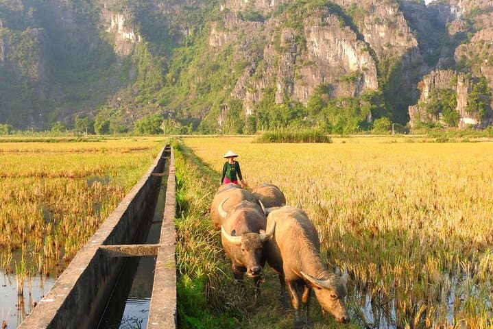 Hoa Lu & Mua Cave Full-Day Adventure: Bike, Boat & Trang An Scenic Cruise photo 4