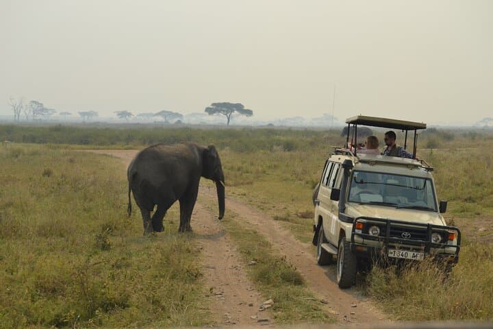7-Day North Tanzania Classic Safari — Serengeti, Ngorongoro & Tarangire in One Week photo 5