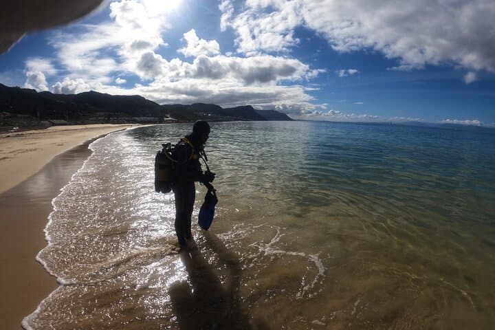 Beginner Scuba Diving in Simon's Town: Kelp Forest Dives with Seals & Penguins