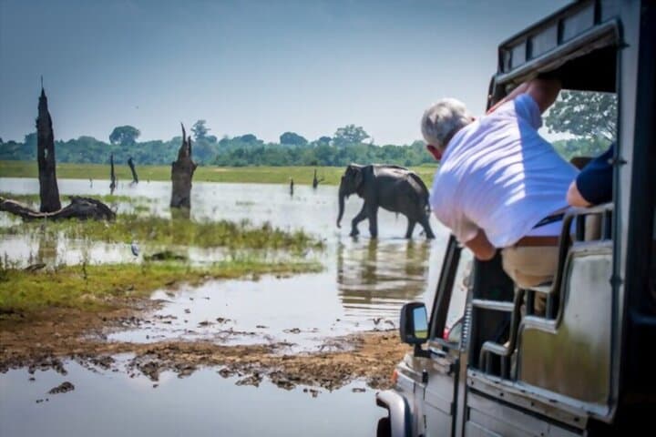 Yala Safari from Nuwara Eliya: Full-Day Leopard & Wildlife Safari photo 6