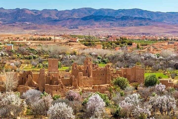 3-Day Oasis, Dunes and Kasbahs: Merzouga & Draa Valley Desert Circuit photo 2