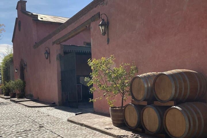 Private Luján de Cuyo Wineries Tour — Malbec Tastings & Private Driver photo 6