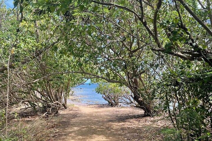East Puerto Rico Full-Day Private Beach and River Tour from San Juan