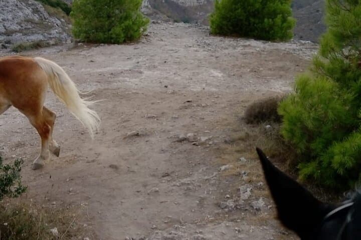 Murgia Park Horse Riding Tour — Ride to the Sassi di Matera Views photo 5