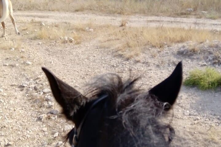 Murgia Park Horse Riding Tour — Ride to the Sassi di Matera Views photo 6
