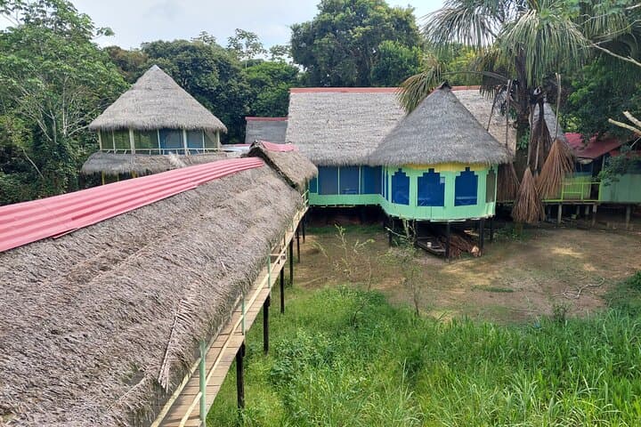 Amazon Wildlife Explorations: 3-Day Private Jungle Lodge Adventure from Iquitos