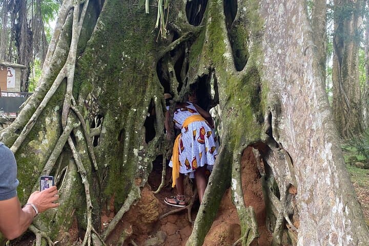 Private Aburi Hill Guided Tour: Aburi Botanical Gardens, Cocoa Farm & Cultural Stops photo 2