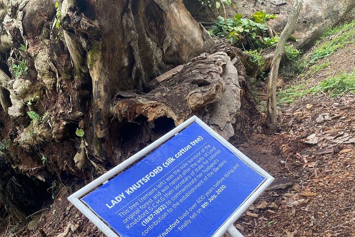 Private Aburi Hill Guided Tour: Aburi Botanical Gardens, Cocoa Farm & Cultural Stops photo 3