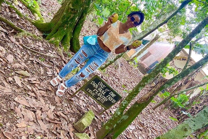 Private Aburi Hill Guided Tour: Aburi Botanical Gardens, Cocoa Farm & Cultural Stops photo 4