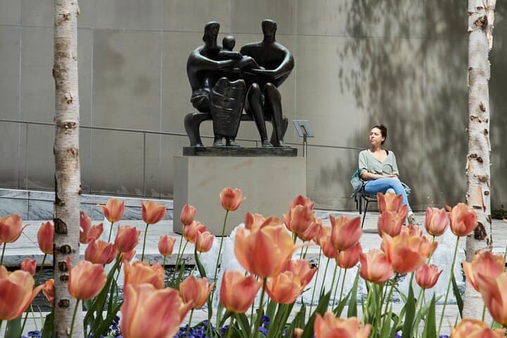 Museum of Modern Art (MoMA) Admission: Skip-the-Line Tips & What to See photo 4