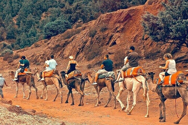 Atlas Mountains Day Trip from Marrakech: Imlil Hike, Berber Lunch & Camel Ride