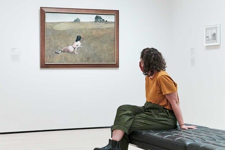 Museum of Modern Art (MoMA) Admission: Skip-the-Line Tips & What to See photo 6