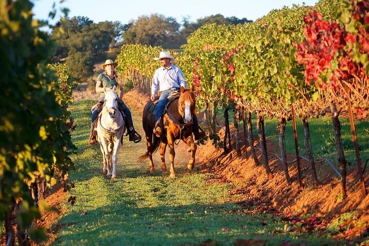 Guided Horseback Tour Near Sedona at Alcantara Vineyards