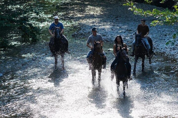Guided Horseback Tour Near Sedona at Alcantara Vineyards photo 3
