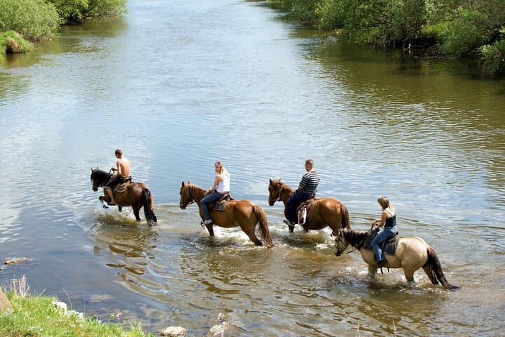 Guided Horseback Tour Near Sedona at Alcantara Vineyards photo 5