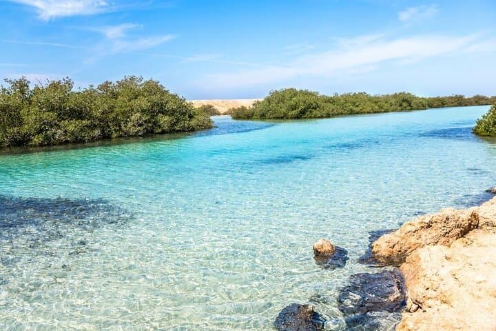Ras Mohamed Half-Day Snorkel from Sharm el-Sheikh: Red Sea Reefs & Desert Headland photo 2