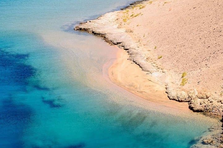 Ras Mohammed Diving Day Trip from Sharm el-Sheikh — Coral Walls & Snorkel Stops photo 4