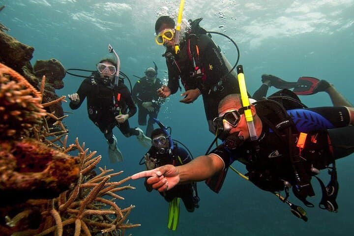 Discover Scuba Diving in Hikkaduwa — Beginner Beach-to-Reef Experience