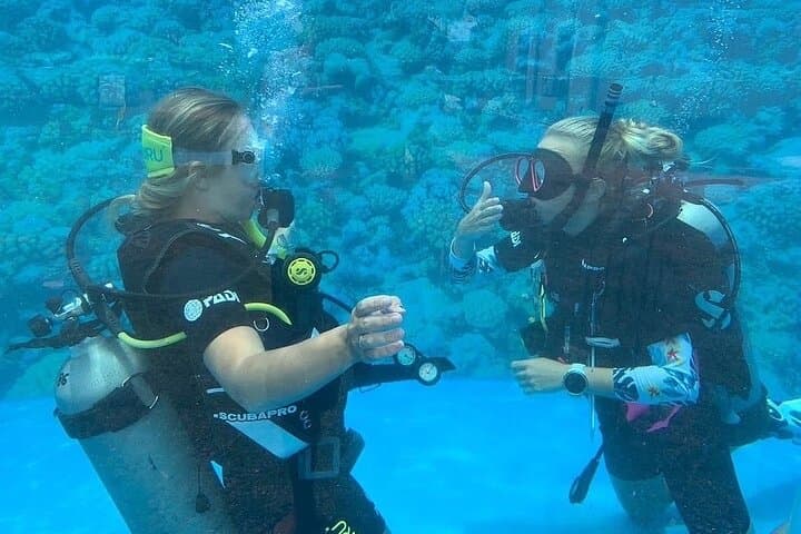Learn to Scuba at Nilaveli: PADI Open Water Diver Course in Trincomalee photo 2