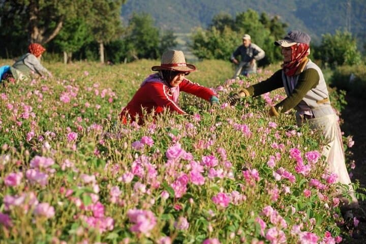 Isparta Rose Fields & Salda Lake Day Trip — Roses, Magnesite Beaches & Swimming photo 6