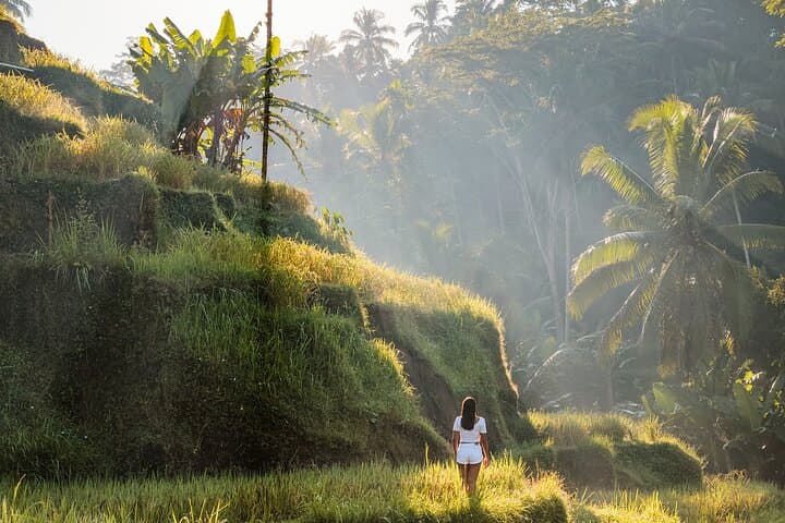 Private Bali Tour: Bird Park, Tegenungan Waterfall & Antonio Blanco Museum photo 5