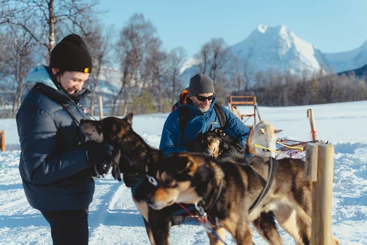 Midday Dog Sledding from Tromsø: Easy Husky Run with Lyngen Alps Views photo 2