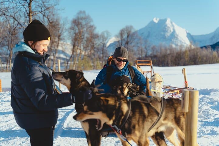 Self-Drive Dog Sledding from Tromsø: Noon Husky Adventure & Lyngen Views photo 2