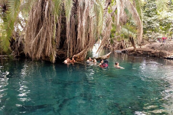 Materuni Waterfalls, Coffee & Kikuletwa Hot Springs — Private Full‑Day Tour from Arusha photo 1