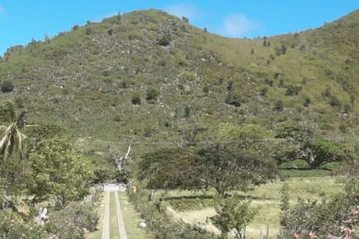 St Martin–St Maarten Cultural Heritage Tour: Small-Group Half-Day Experience photo 3