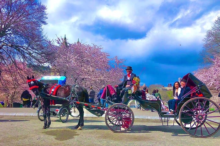 VIP Central Park Champagne Carriage Ride — 50-Min Romantic Tour with Photos photo 2