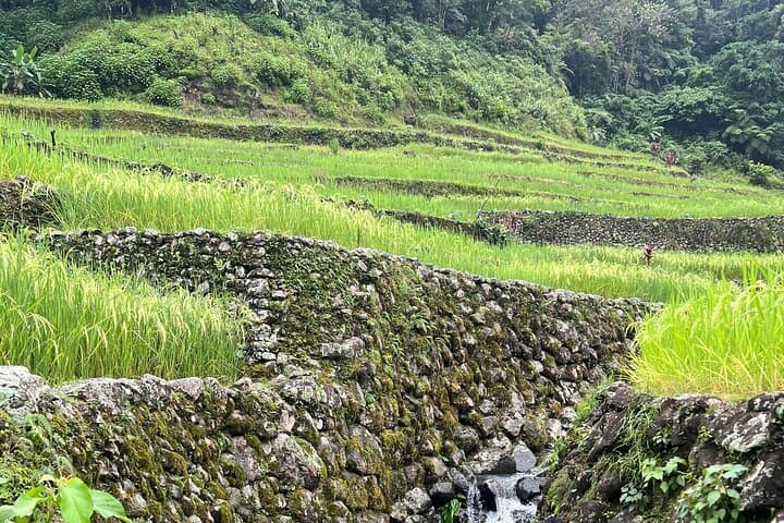 Batad Rice Terraces Guided Trek & Tappiya Waterfall — Local Homestay Experience photo 3