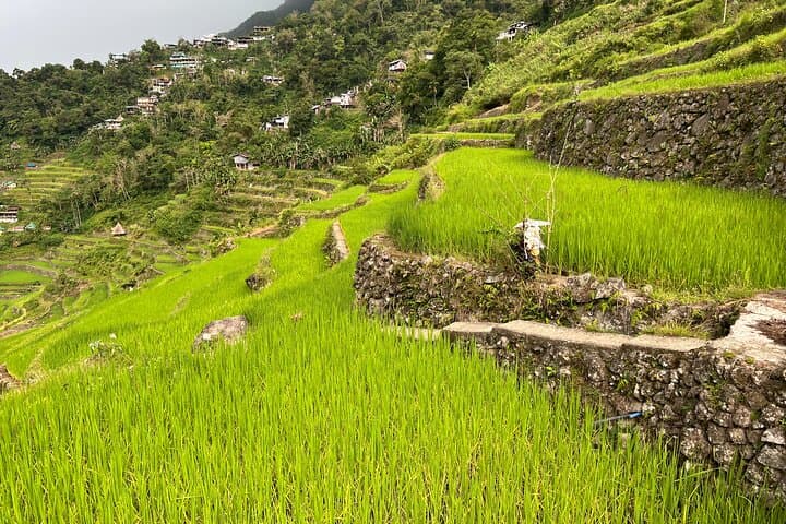 Batad Rice Terraces Guided Trek & Tappiya Waterfall — Local Homestay Experience photo 4