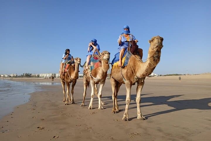 Essaouira Camel Ride: 2-Hour Sunset Tour with Pickup & Drop photo 5