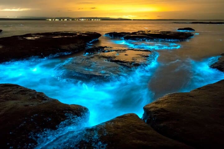 Cocoa Beach Bioluminescence Clear Kayak & Paddleboard Tour
