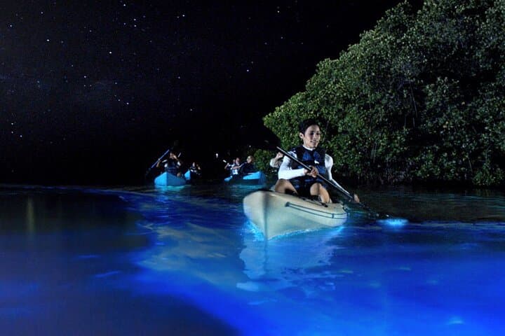 Cocoa Beach Bioluminescence Clear Kayak & Paddleboard Tour photo 3