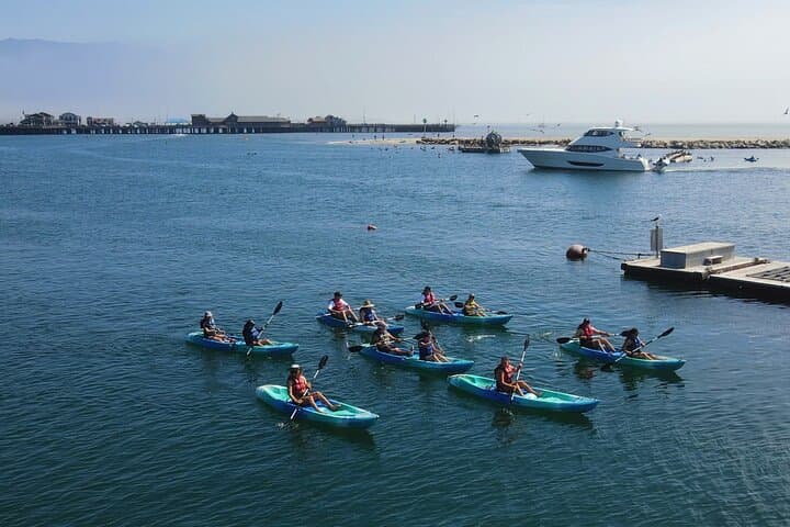 Santa Barbara Guided Kayak Tour — Harbor, Sea Lions & Channel Island Views photo 2
