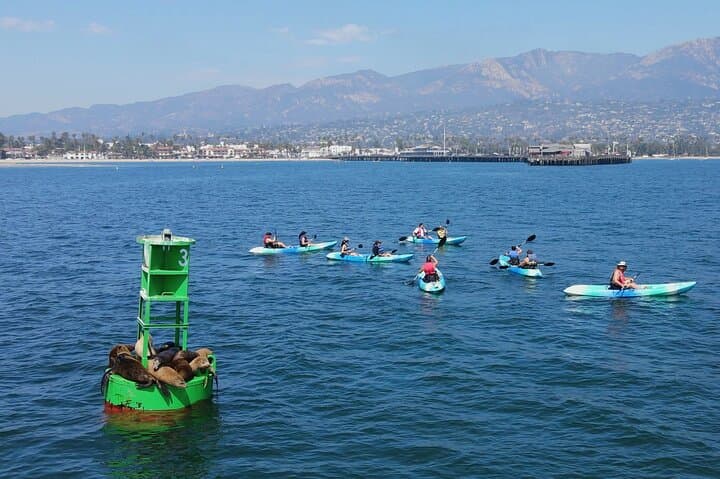 Santa Barbara Guided Kayak Tour — Harbor, Sea Lions & Channel Island Views photo 4