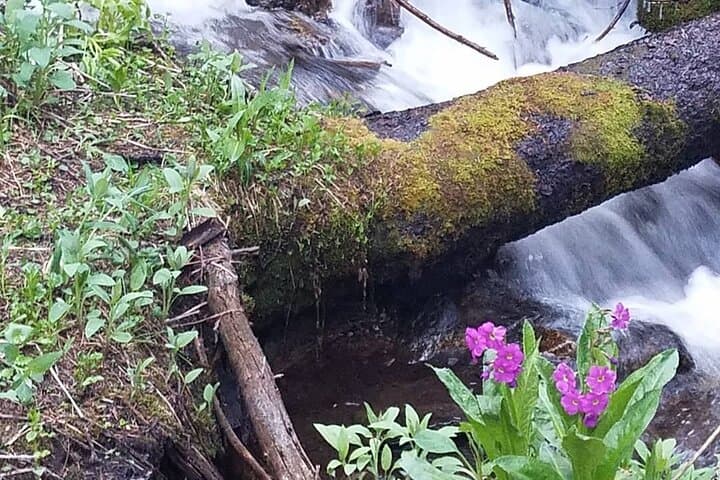 Ouzel Falls Hike: Wild Basin Day Hike in Rocky Mountain National Park photo 4