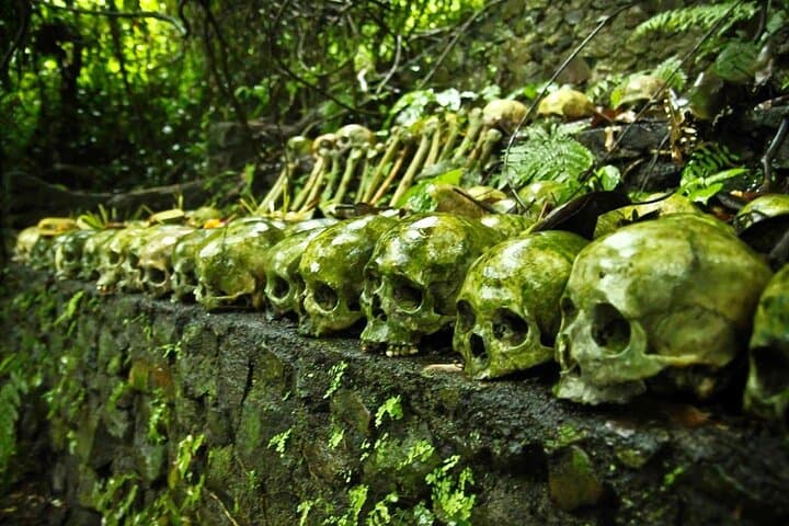 Trunyan & Batur Day Tour: Trunyan Cemetery, Batur Hot Springs, Penglipuran Village & Tibumana Waterfall