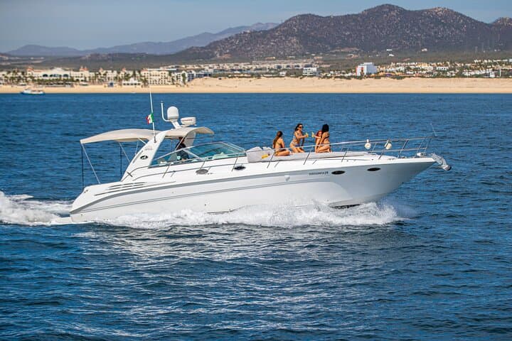 Sunset Snorkel Aboard a Luxury 42' Yacht in Cabo San Lucas photo 2
