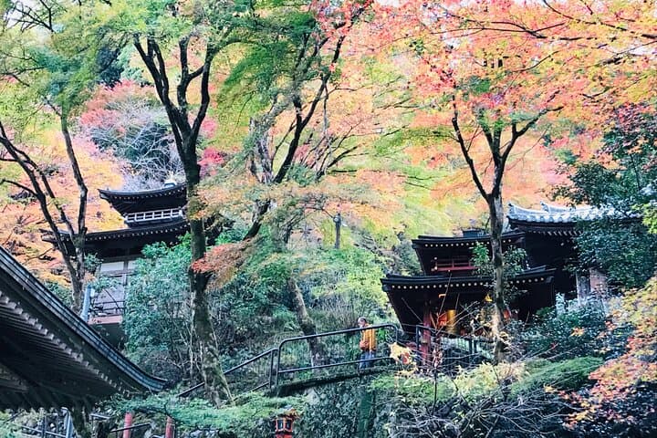 Private Arashiyama Walking Tour: Hidden Bamboo Grove & Local Gems photo 2