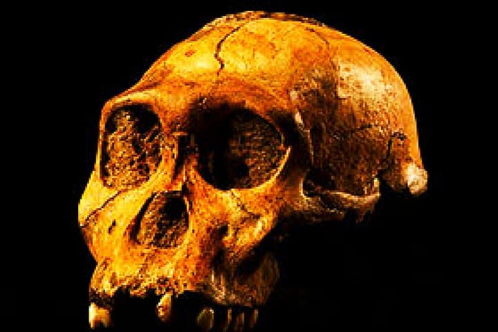 Cradle of Humankind and Lesedi Cultural Village Day Tour from Johannesburg photo 3