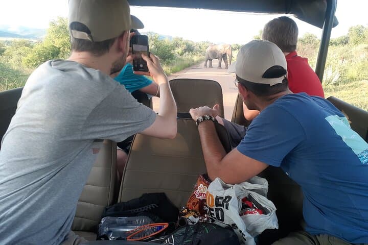 Pilanesberg National Park Open Safari & Sun City Day Tour photo 4