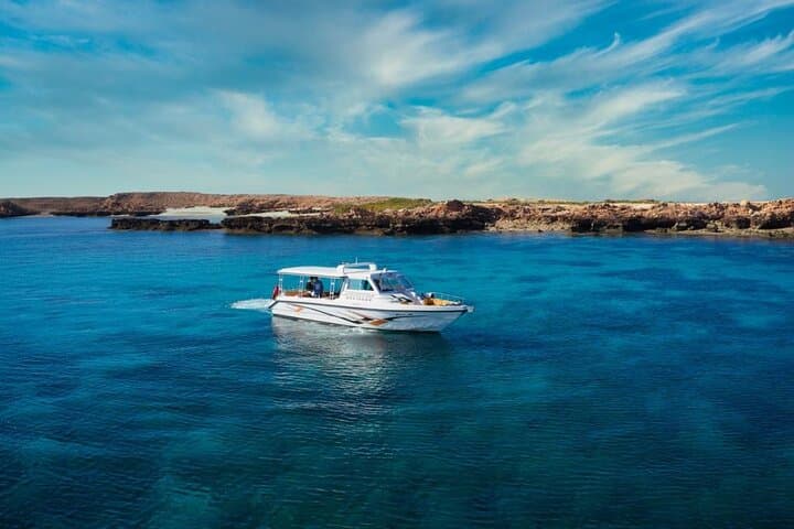 Daymaniyat Islands Snorkeling: Half-Day Marine Reserve Trip from Muscat photo 4