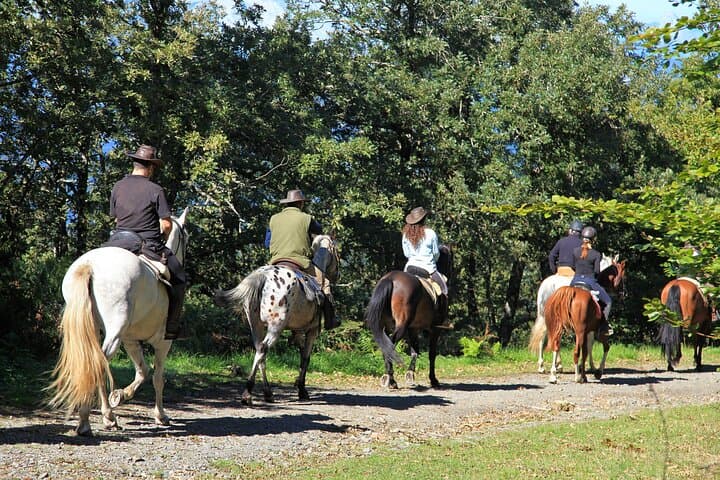 Horseback Riding in Umbria: Countryside Trail Ride with Local Lunch photo 6