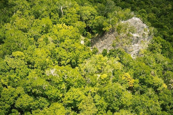 Helicopter Tour to El Mirador La Danta from Flores — Fly Over the Mayan Biosphere