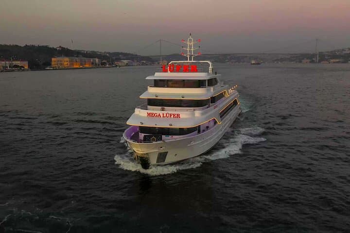 Evening Bosphorus Dinner Cruise: VIP Table, Live Shows & Istanbul Skyline photo 2