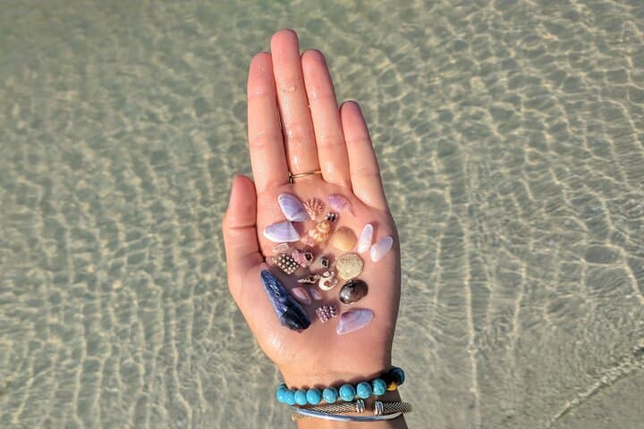 Shelling Cruise to Shell Key Preserve: 3-Hour Johns Pass Adventure photo 2