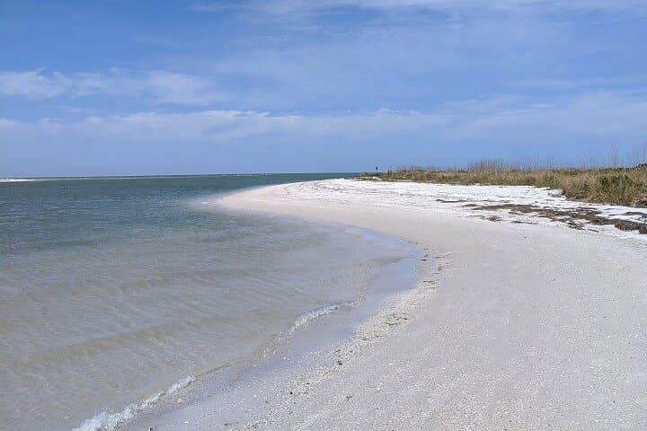 Shelling Cruise to Shell Key Preserve: 3-Hour Johns Pass Adventure photo 4